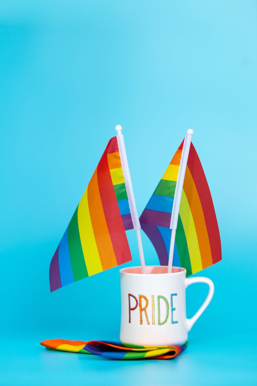 mug with rainbow flags